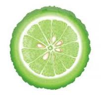 Lime Slice Cinco de Mayo Party 18 Inch Foil Mylar Balloon [15861]