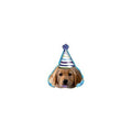 Party Pups Birthday Balloon 18 Inch Foil Shape Balloon [15901]